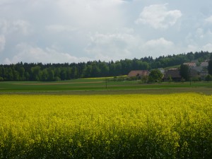 P1030600